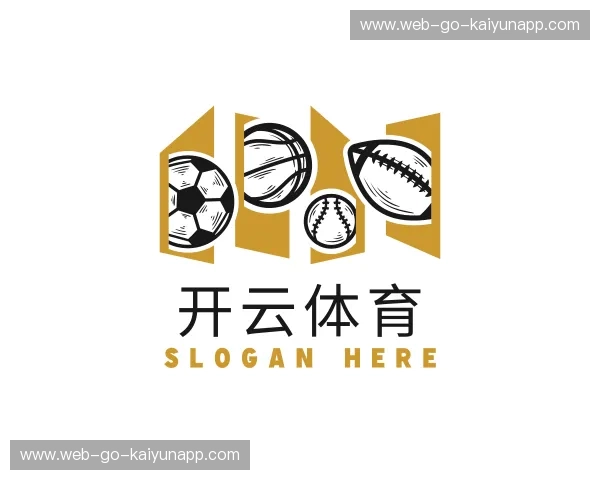 介绍开云官网APP下载