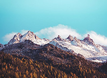 华体会体育APP下载——开启您的极致体育体验